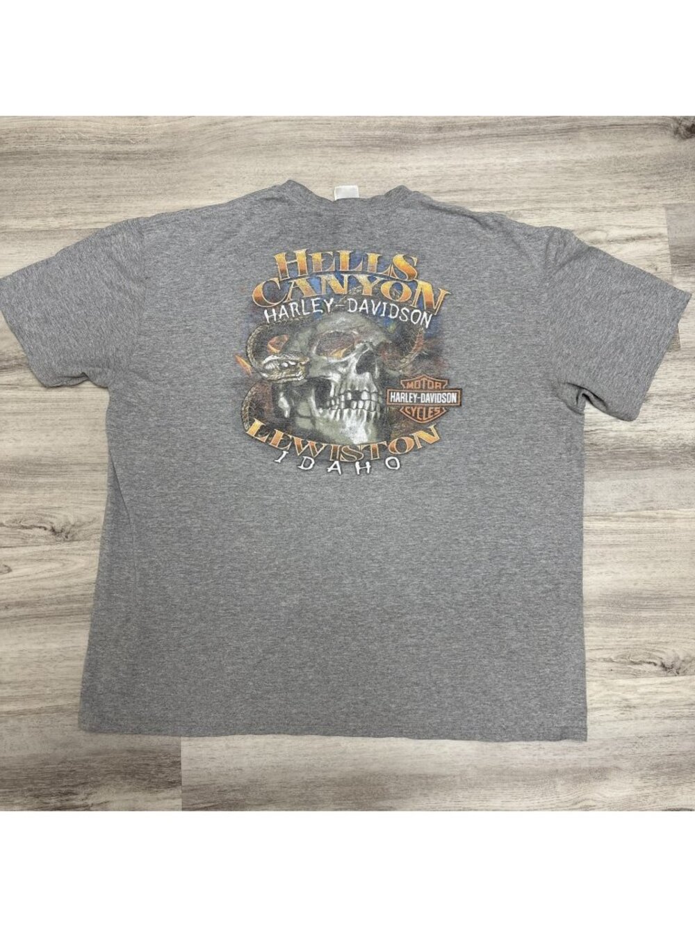 Hells Canyon Harley Davidson Shirt Mens XL Rattle Snake Skull Idaho Dealership